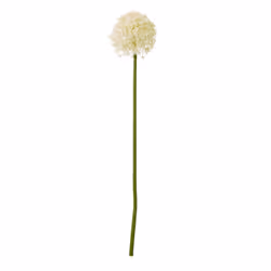 Hill Interiors Allium Stem Artificial Plant - 90cm, Cream