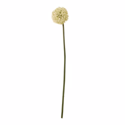 Hill Interiors Allium Stem Artificial Plant - 90cm, Cream