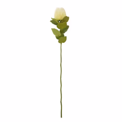 Hill Interiors Banksia Stem Artificial Plant - One Size, Cream