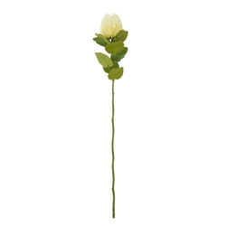 Hill Interiors Banksia Stem Artificial Plant - One Size, Cream