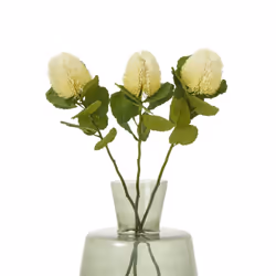 Hill Interiors Banksia Stem Artificial Plant - One Size, Cream