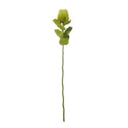 Hill Interiors Banksia Stem Artificial Plant - One Size, Green