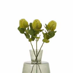 Hill Interiors Banksia Stem Artificial Plant - One Size, Green