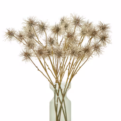 Hill Interiors Xanthium Spray Artificial Flower - One Size, Brown