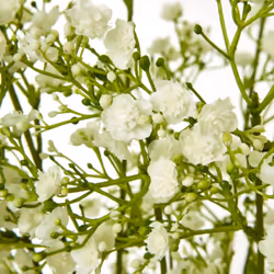 Hill Interiors Gypsophila Artificial Flower