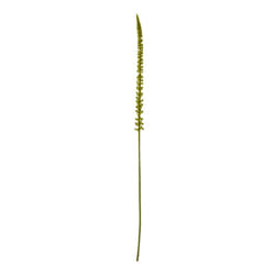 Hill Interiors Eremurus Stem Artificial Plant - One Size, Green