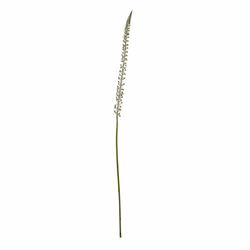 Hill Interiors Eremurus Stem Artificial Plant - One Size, White