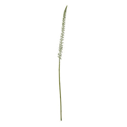 Hill Interiors Eremurus Stem Artificial Plant - One Size, White
