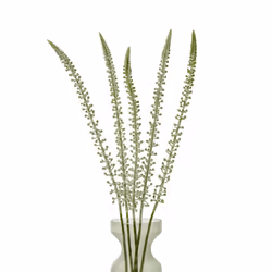 Hill Interiors Eremurus Stem Artificial Plant - One Size, White