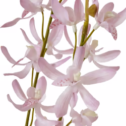 Hill Interiors Cymbidium Spray Artificial Flower - One Size, Lilac