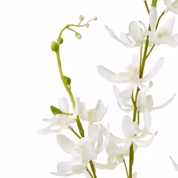 Hill Interiors Cymbidium Spray Artificial Flower - One Size, White