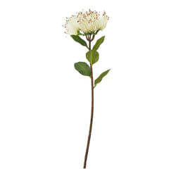 Hill Interiors Protea Nitida Stem Artificial Plant