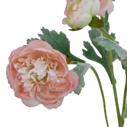 Hill Interiors The Natural Garden Collection Ranunculus Artificial Flower