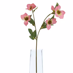 Hill Interiors The Natural Garden Collection Varigated Hellibore Artificial Flower