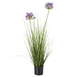 Hill Interiors Agapanthus Plant Pot - One Size, Green/Purple