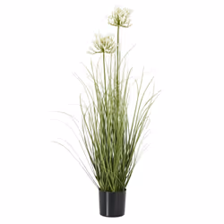 Hill Interiors Agapanthus Plant Pot - One Size, White/Green