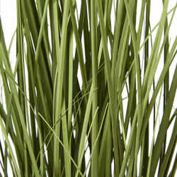 Hill Interiors Agapanthus Plant Pot - One Size, White/Green