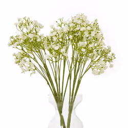Hill Interiors Gypsophila Stem Artificial Flower
