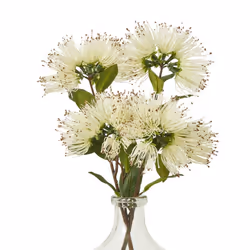 Hill Interiors Protea Nitida Stem Artificial Flower Spray