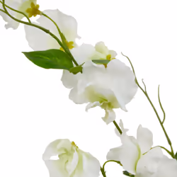 Hill Interiors The Natural Garden Collection Sweetpea Artificial Flower - One Size, White