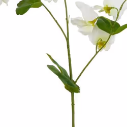 Hill Interiors The Natural Garden Collection Sweetpea Artificial Flower - One Size, White