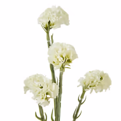 Hill Interiors Statice Artificial Flower Spray
