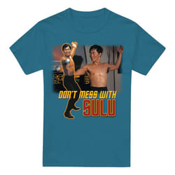 Star Trek Mens Don't Mess with Sulu T-Shirt - 3XL, Slate