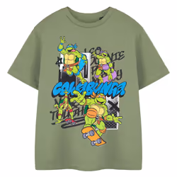 Teenage Mutant Ninja Turtles Boys Cowabunga T-Shirt - 13-14 Years, Khaki Green
