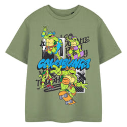 Teenage Mutant Ninja Turtles Boys Cowabunga T-Shirt - 13-14 Years, Khaki Green