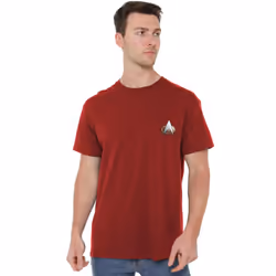 Star Trek Mens The Next Generation Command Emblem T-Shirt - L, Cardinal