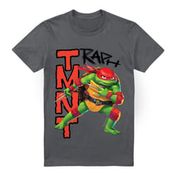 Teenage Mutant Ninja Turtles Mens Mutant Mayhem Raphael T-Shirt - 3XL, Charcoal