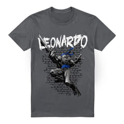 Teenage Mutant Ninja Turtles Mens Leonardo T-Shirt - L, Charcoal