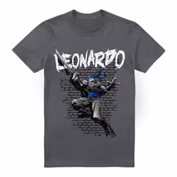 Teenage Mutant Ninja Turtles Mens Leonardo T-Shirt - 4XL, Charcoal