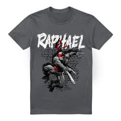 Teenage Mutant Ninja Turtles Mens Raphael T-Shirt - 3XL, Charcoal