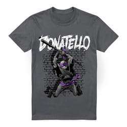 Teenage Mutant Ninja Turtles Mens Donatello T-Shirt - 3XL, Charcoal