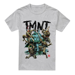 Teenage Mutant Ninja Turtles Mens Feudal Japan T-Shirt - L, Sport Heather