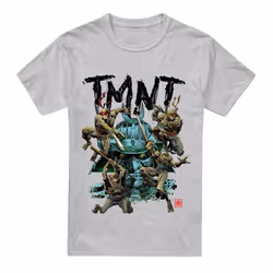 Teenage Mutant Ninja Turtles Mens Feudal Japan T-Shirt - 5XL, Sport Heather