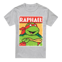 Teenage Mutant Ninja Turtles Mens Raphael T-Shirt - M, Sport Heather