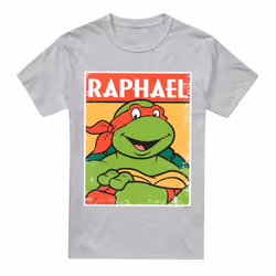 Teenage Mutant Ninja Turtles Mens Raphael T-Shirt - XXL, Sport Heather