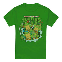 Teenage Mutant Ninja Turtles Mens Retro Group T-Shirt - XXL, Kelly Green