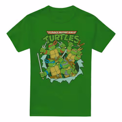 Teenage Mutant Ninja Turtles Mens Retro Group T-Shirt - 4XL, Kelly Green