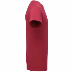 Fruit of the Loom Unisex Adult Cotton T-Shirt - M, Cranberry