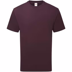 Fruit of the Loom Unisex Adult Cotton T-Shirt - S, Dark Plum