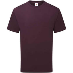 Fruit of the Loom Unisex Adult Cotton T-Shirt - S, Dark Plum