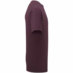 Fruit of the Loom Unisex Adult Cotton T-Shirt - S, Dark Plum
