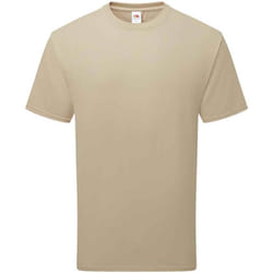 Fruit of the Loom Unisex Adult Cotton T-Shirt - M, Desert Sand