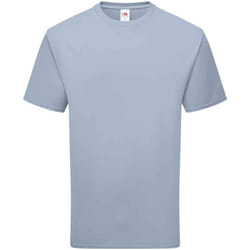 Fruit of the Loom Unisex Adult Cotton T-Shirt - M, Mineral Blue