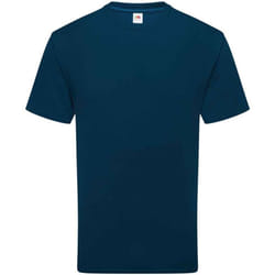 Fruit of the Loom Unisex Adult Cotton T-Shirt - M, Mountain Blue