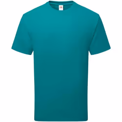 Fruit of the Loom Unisex Adult Cotton T-Shirt - M, Ocean Teal