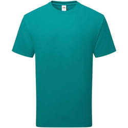 Fruit of the Loom Unisex Adult Cotton T-Shirt - M, Ocean Teal